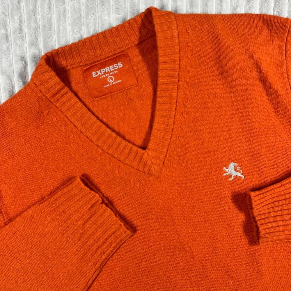 Express Lambs Wool V-Neck Pullover Sweater‎ Men's L Burnt Orange Academia Preppy